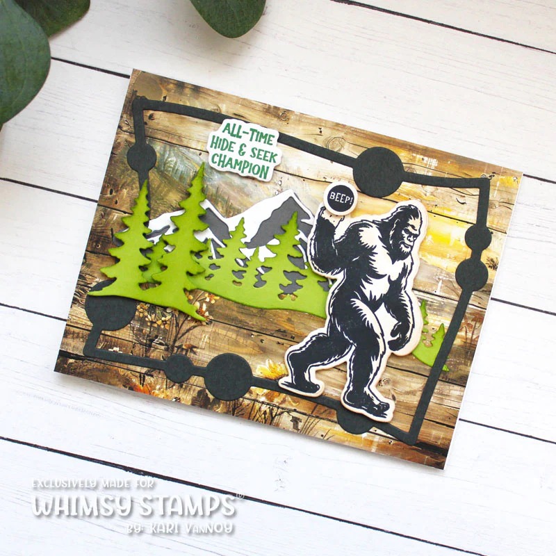 Hill and Tree 2026 Nuevos troq - Photography Triangle reseña y precio
