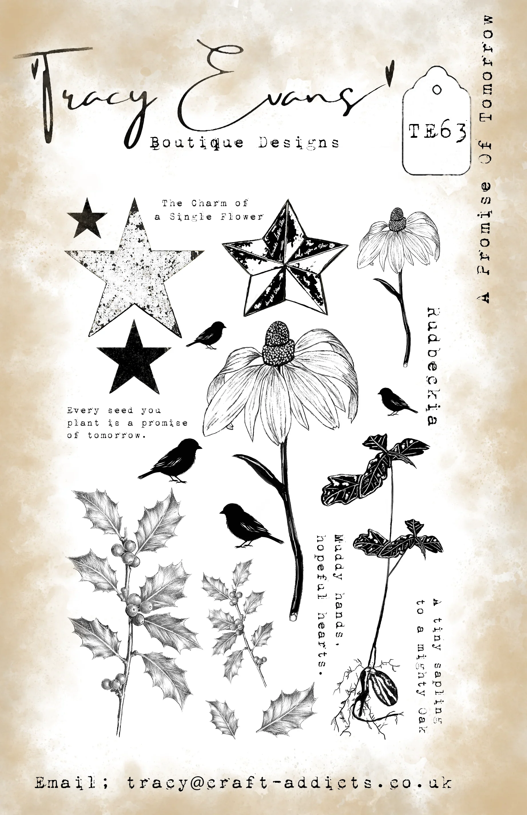Flurry Tall Trees Cluster - Se - Photography Triangle reseña y precio